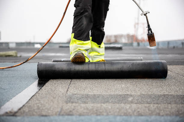 Best Roof Maintenance and Cleaning  in Canby, MN