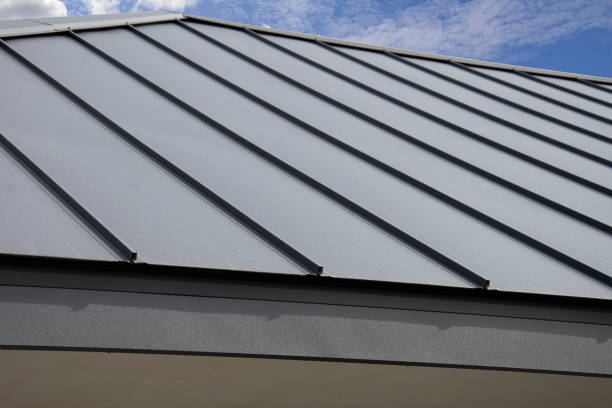 Best Solar Panel Roofing Installation  in Canby, MN