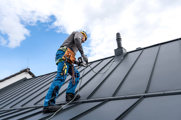 Best Steel Roofing  in Canby, MN